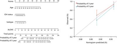 Arachidonate lipoxygenases 5 is a novel prognostic biomarker and correlates with high tumor immune infiltration in low-grade glioma